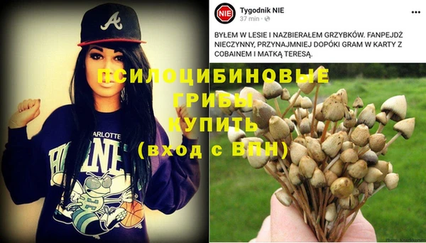 гашишное масло Алзамай
