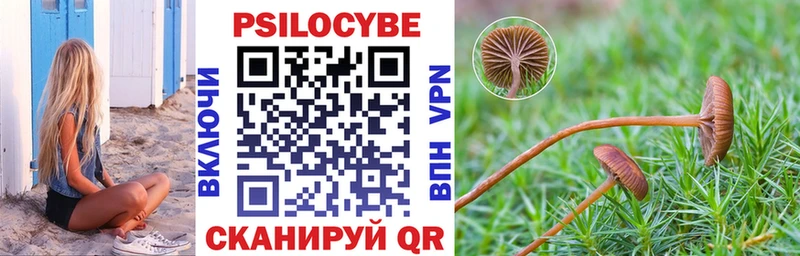 закладка  KRAKEN ONION  Псилоцибиновые грибы GOLDEN TEACHER  Разумное 