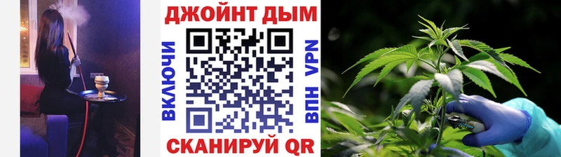 Бошки марихуана OG Kush Разумное
